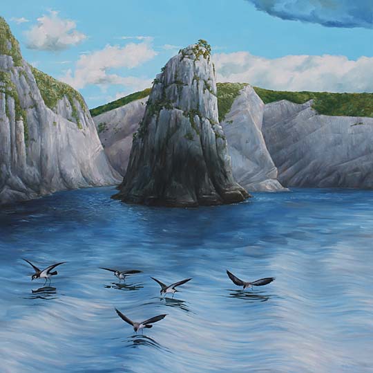 painting of storm petrels feeding